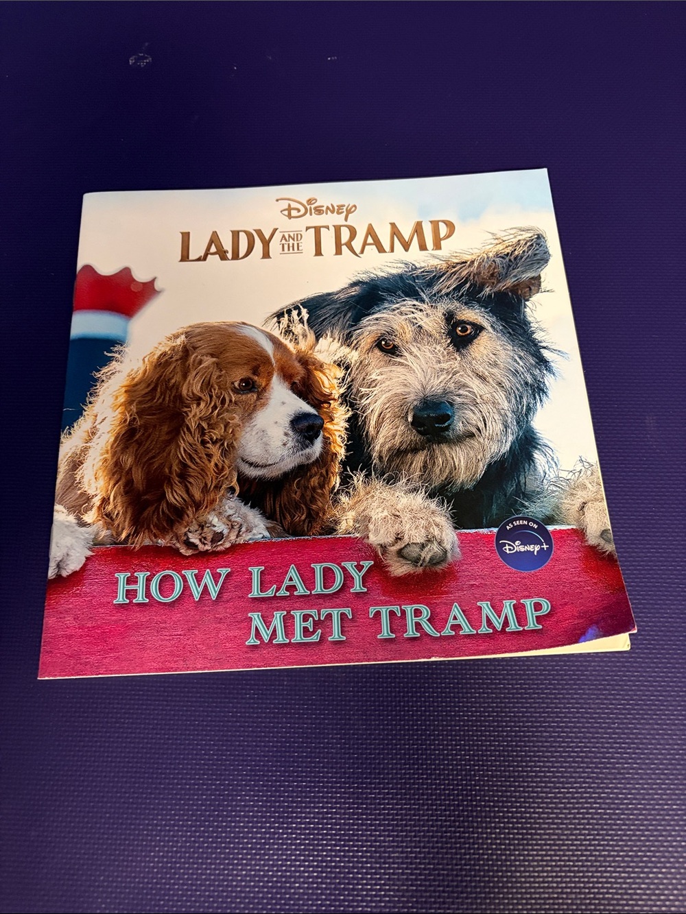Disney How Lady Met Tramp Picture Book - Red, Brown, Gray